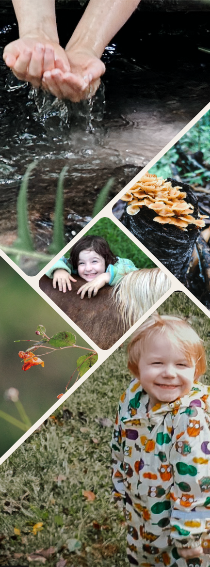 NC homeschool coop outdoor nature education